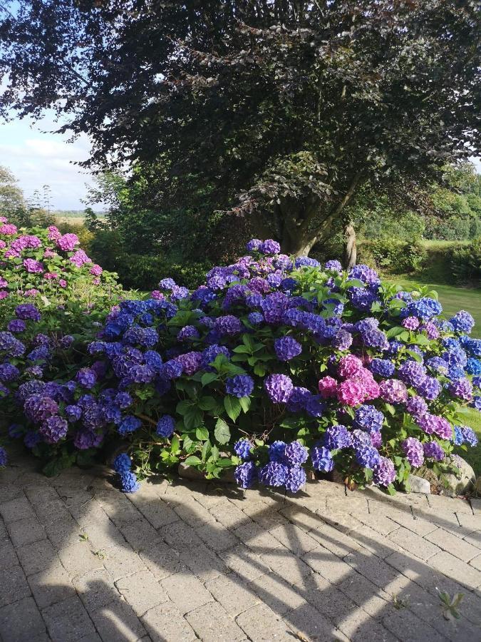 Hvirrekaergaard, Midt I Naturen. Hirtshals Exterior photo